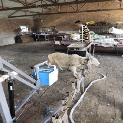 廣州便攜式x光機