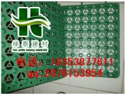 呼倫貝爾車庫種植導水板#隔根巴彥淖爾屋頂綠化排水板#廠家送貨