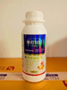 Ӽt֩ĮaƷӼt֩뚢Ӽt֩ˎ