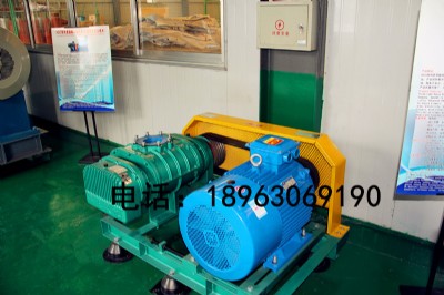 hg羅茨鼓風(fēng)機(jī)廠家品牌型號(hào)結(jié)構(gòu)構(gòu)成