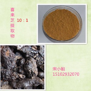 廠家現(xiàn)貨供應(yīng)喜來芝提取物10:1