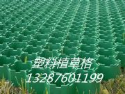 歡迎光臨南京綠化植草格!!