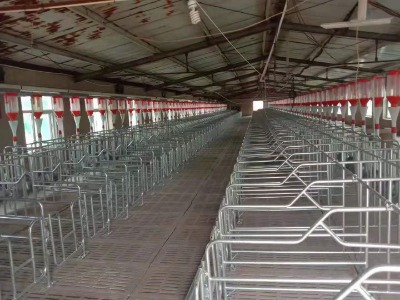 定位欄的尺寸可以定做!采食槽可以選擇材質(zhì)