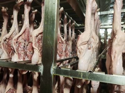 高品質肉制品節能烘干設備