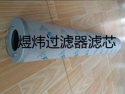 玻纖濾芯PI23063RNSMX6